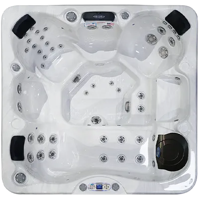 Avalon EC-849L hot tubs for sale in Miami